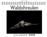 Waldohreulen Waldohreulen