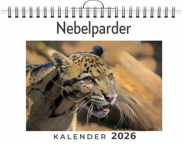 Nebelparder