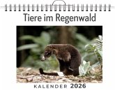 Tiere im Regenwald
