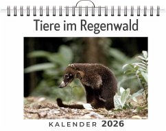 Cover Tiere im Regenwald