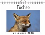 Füchse Füchse