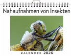 Nahaufnahmen von Insekten Nahaufnahmen von Insekten