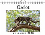 Ozelot