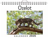 Ozelot Ozelot