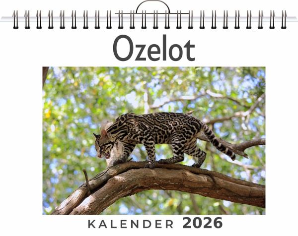 Ozelot