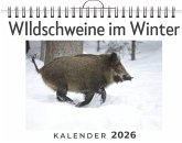 WIldschweine im Winter