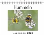 Hummeln