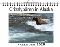 Cover Grizzlybären in Alaska