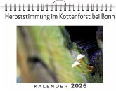 Herbststimmung im Kottenforst bei Bonn