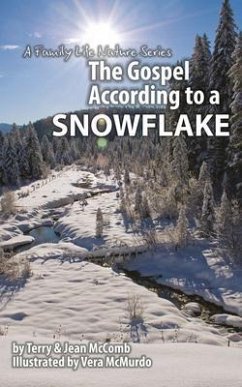 Cover The Gospel According to a Snowflake (eBook, ePUB)