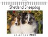 Shetland Sheepdog - Bild 1