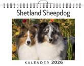 Shetland Sheepdog Shetland Sheepdog