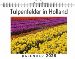 Cover Tulpenfelder in Holland