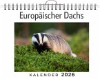 Europäischer Dachs