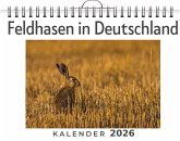 Feldhasen in Deutschland Feldhasen in Deutschland