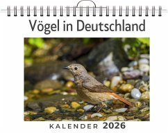 Cover Vögel in Deutschland