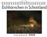Eichhörnchen in Schottland - Bild 1