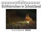Eichhörnchen in Schottland