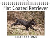 Flat Coated Retriever Flat Coated Retriever