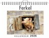 Ferkel - Bild 1