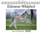 Dülmener Wildpferd