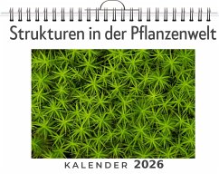 Cover Strukturen in der Pflanzenwelt