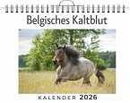 Belgisches Kaltblut Belgisches Kaltblut