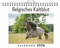 Cover Belgisches Kaltblut