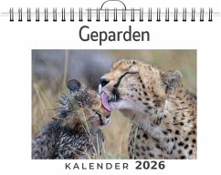 Geparden - Scholz, Isabella