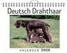 Deutsch Drahthaar - Bild 1