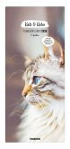 Familienplaner 2026 - Katz & Kater Familienplaner 2026 - Katz & Kater