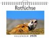 Rotfüchse - Bild 1