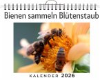 Bienen sammeln Blütenstaub Bienen sammeln Blütenstaub