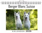 Berger Blanc Suisse Berger Blanc Suisse