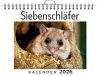 Siebenschläfer - Bild 1