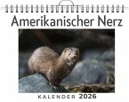 Amerikanischer Nerz Amerikanischer Nerz