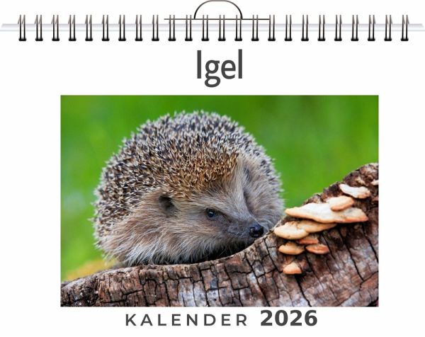 Igel Igel