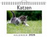 Katzen - Bild 1