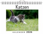 Katzen