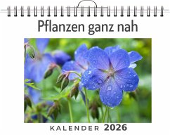 Pflanzen ganz nah Cover Pflanzen ganz nah
