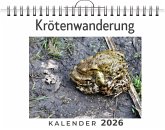 Krötenwanderung