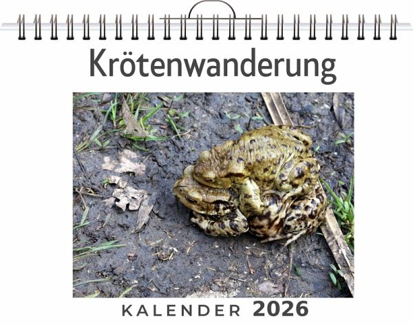 Krötenwanderung