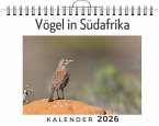 Vögel in Südafrika