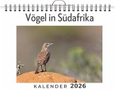 Vögel in Südafrika