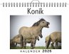 Konik - Bild 1