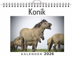 Konik