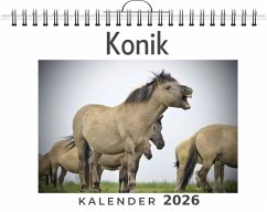 Cover Konik