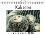 Kakteen Kakteen