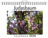 Judasbaum - Bild 1