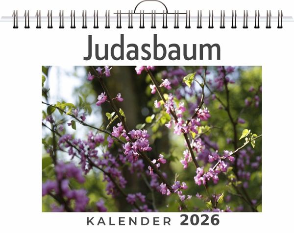 Judasbaum Judasbaum
